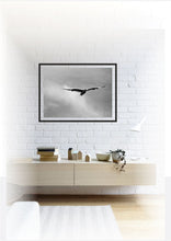 Load image into Gallery viewer, Bird in flight