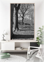 Load image into Gallery viewer, Trees in Keukenhof